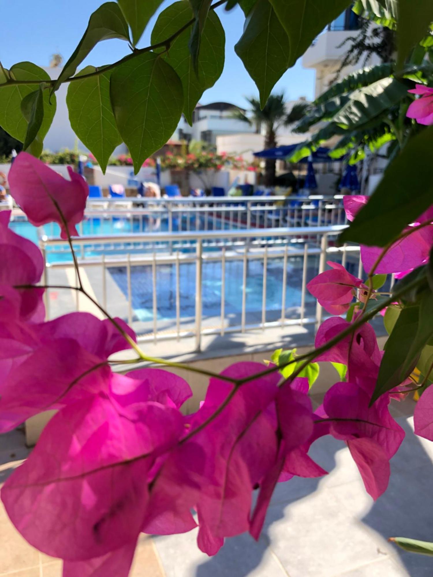Apart Otel Palmiye Bodrum