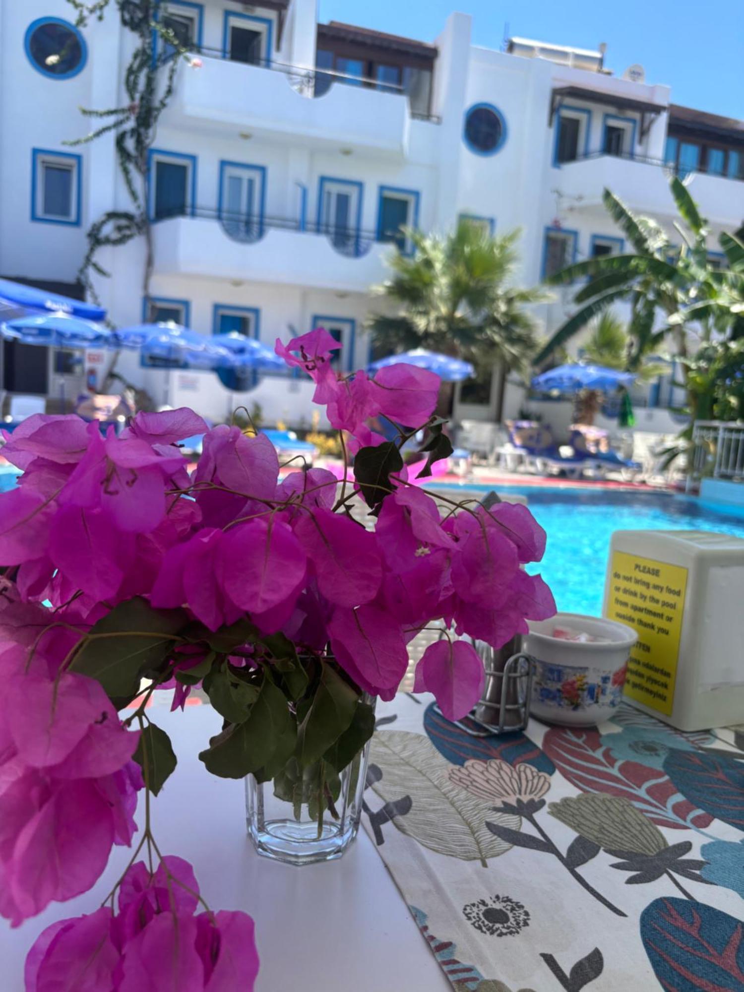 Apart Otel Palmiye